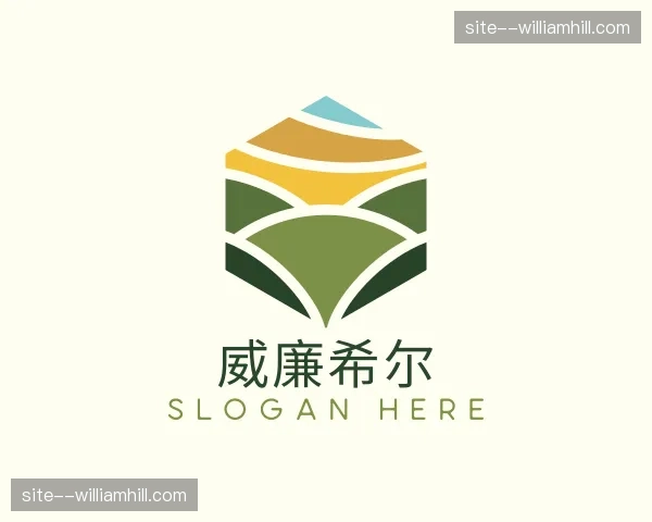 关于威廉希尔官网